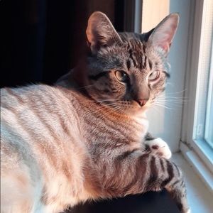 Meet your Posher, Dallas